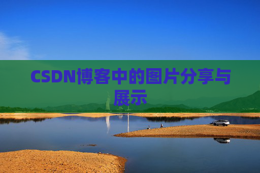 CSDN博客中的图片分享与展示